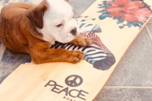 微信图片_20190627220042